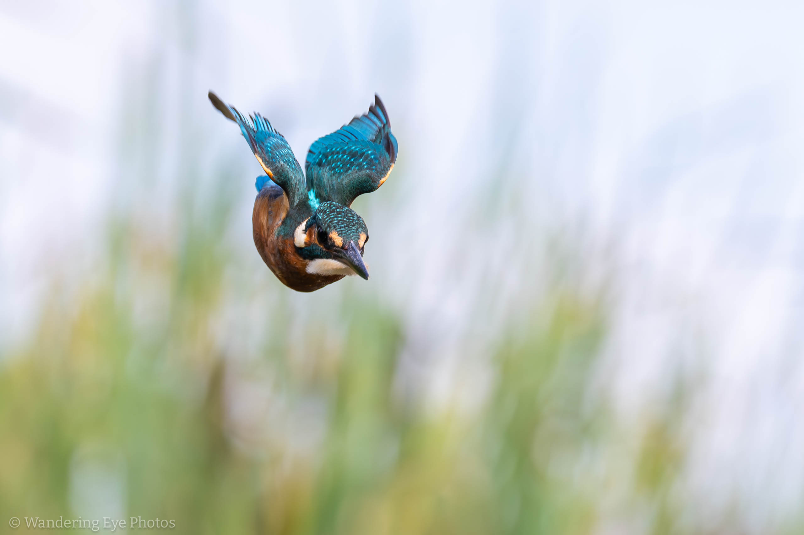 2023 08 16 11.21.31 DSC00132 Enhanced NR